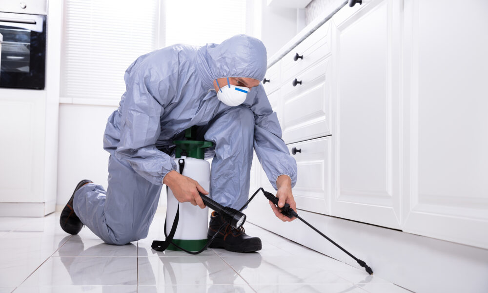 comprehensive-pest-control:-effective-strategies-and-solutions-for-a-pest-free-home