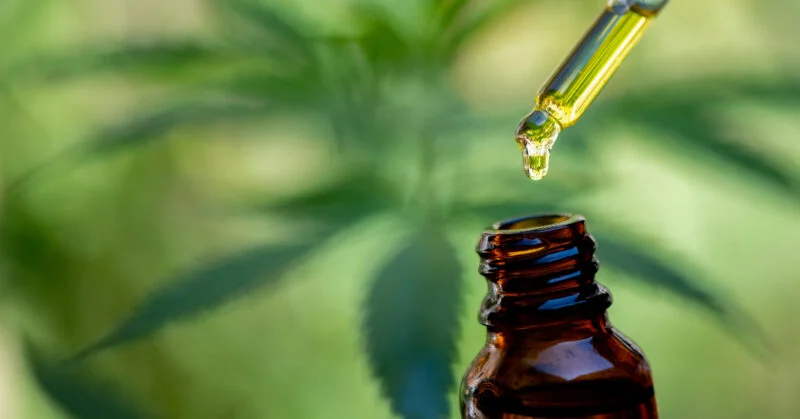 the-benefits-of-cbd-body-oil-for-entrepreneurs